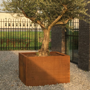 Cortenstaal plantenbakken