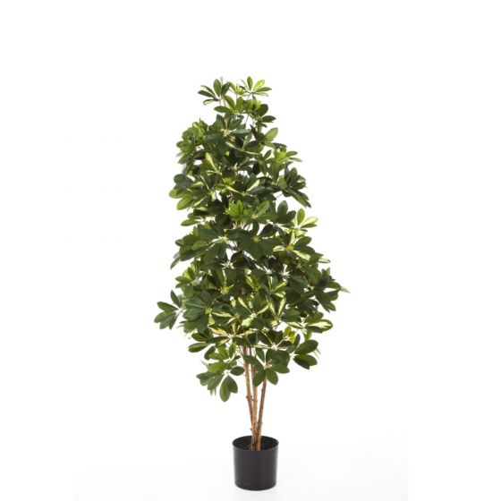 Kunstplant Schefflera - 110 cm