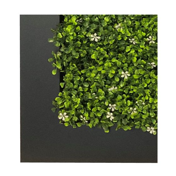 Planten schilderij Jasmine (kunsthaag) 67x67 cm