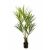 Kunstplant Kentia palm  - 200 cm