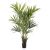 Kunstplant Kentia Palm de Luxe - 170 cm