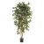 Kunstplant Ficus Nitida - 210 cm