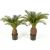 Kunstplant Cycas palm - 65 cm