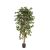 Kunstplant Ficus Nitida - 150 cm