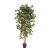 Kunstplant Ficus Nitida - 180 cm