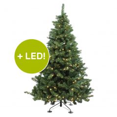 Royal Christmas Dakota kunstkerstboom 210 cm met LED voor buiten