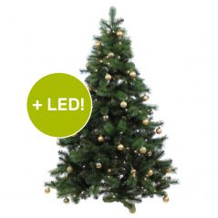 Leonardoda monteren klap Royal Christmas Dakota kunstkerboom 270 cm met LED voor buiten
