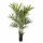 Kunstplant Kentia Palm de Luxe - 170 cm