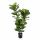 Kunstplant Ficus Lyrata - 130 cm