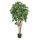 Kunstplant Schefflera Umbrella - 140 cm