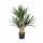 Kunstplant baby Yucca - 70 cm
