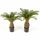 Kunstplant Cycas palm - 65 cm