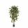 Kunstplant Ficus Nitida - 120 cm