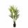 Kunstplant Kentia palm - 170 cm